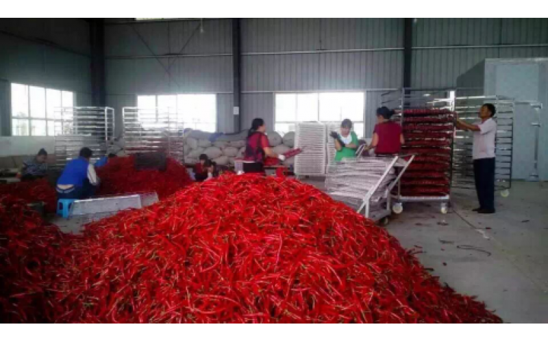 2021貴州辣椒加工產(chǎn)值150億元以上，空氣源熱泵烘干迎來(lái)爆發(fā)機(jī)遇